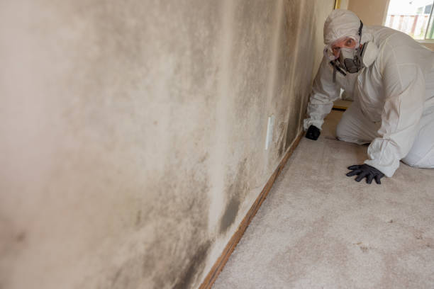 Best HVAC Mold Inspection and Cleaning  in Danbury, CT